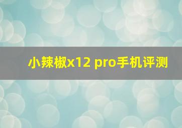 小辣椒x12 pro手机评测